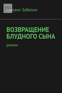 Возвращение блудного сына. Роман