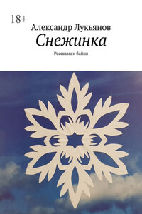 Снежинка. Рассказы и байки