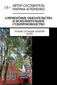 Алиментные обязательства и исполнительное судопроизводство. Лучшие ситуации золотой осени