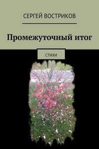 Промежуточный итог. Стихи