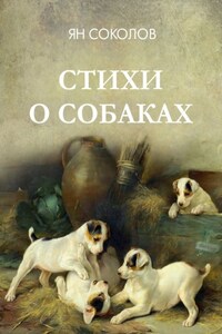 Стихи о собаках