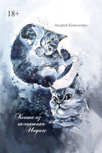Кошка из галактики Индиго