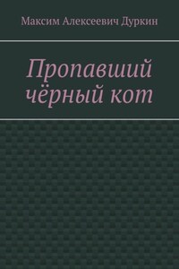 Пропавший чёрный кот