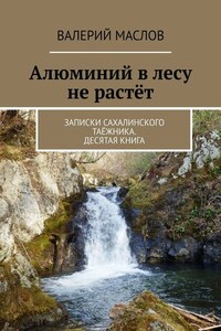 Алюминий в лесу не растёт. Записки сахалинского таёжника. Десятая книга