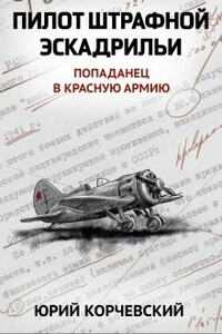 Пилот штрафной эскадрильи