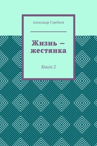Жизнь – жестянка. Книга 2