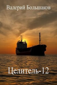Целитель-12