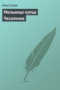 Мельница купца Чесалкина