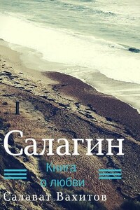 Салагин. Книга о любви