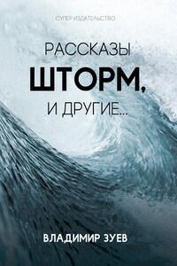 Рассказы. Шторм и другие…