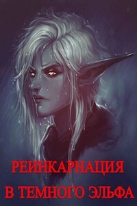 Реинкарнация в темного эльфа