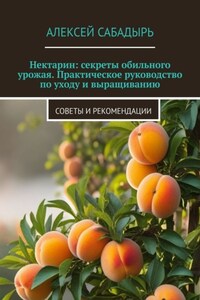 Нектарин: секреты обильного урожая. Практическое руководство по уходу и выращиванию. Советы и рекомендации