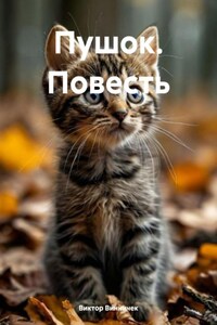 Пушок