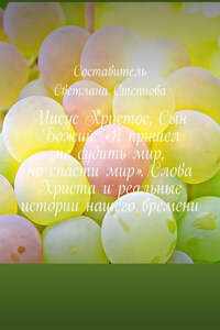 Иисус Христос, Сын Божий: «Я пришел не судить мир, но спасти мир». Слова Христа и реальные истории нашего времени