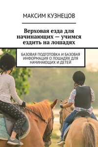 Верховая езда для начинающих – учимся ездить на лошадях. Базовая подготовка и базовая информация о лошадях для начинающих и детей