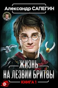 Жизнь на лезвии бритвы. Часть I.