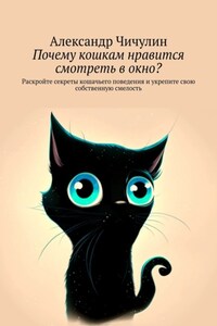 Почему кошкам нравится смотреть в окно? Раскройте секреты кошачьего поведения и укрепите свою собственную смелость