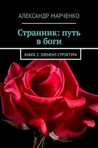 Странник: путь в боги. Книга 2: элемент-структура