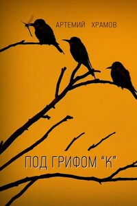 Под грифом «к». Версия 2.0