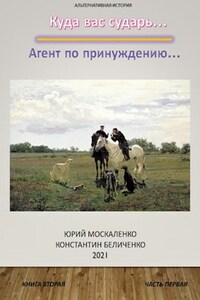 Агент по принуждению... Книга вторая . Часть первая