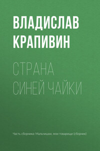 Страна Синей Чайки