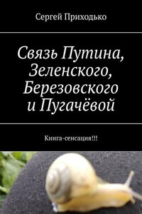 Связь Путина, Зеленского, Березовского и Пугачёвой. Книга-сенсация!!!