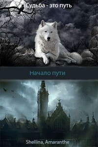 Начало пути