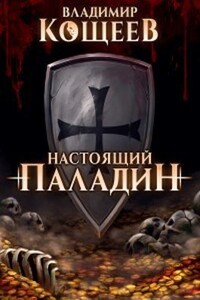 Настоящий паладин